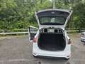 Ford B-Max 1.5 tdci Business Titanium 75cv - thumbnail 13