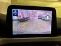 Ford Focus 1.0 EcoBoost 125 CV 5p Business Grau - thumbnail 16