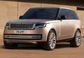 Land Rover Range Rover 3.0D I6 MHEV SE SWB AWD Aut. - thumbnail 8