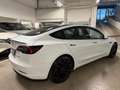 Tesla Model 3 Model 3 PERFORMANCE#AWD#C.LEGA20#SENSORI PARK# Wit - thumbnail 10