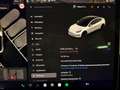 Tesla Model 3 Model 3 PERFORMANCE#AWD#C.LEGA20#SENSORI PARK# Wit - thumbnail 22