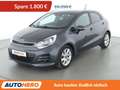 Kia Rio 1.4 UEFA Euro*NAVI*TEMPO*PDC*SHZ*LIM* Grau - thumbnail 1