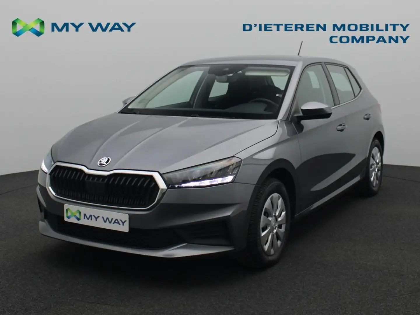 Skoda Fabia Fabia Clever 1.0 TSI  5v / Apple Carplay / Cruise  Grijs - 1