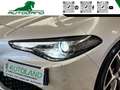 Alfa Romeo Giulia 2.2 Turbodiesel 160 CV AT8 B-Tech Argento - thumbnail 13