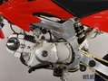 Autres Supermoto 125 Pocket| Pitbike| Neufahrzeug 125er Rouge - thumbnail 11