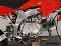 Autres Supermoto 125 Pocket| Pitbike| Neufahrzeug 125er Rouge - thumbnail 4