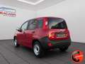 Fiat Panda 1.3 MJT  POP 2 POSTI VAN N1 AUTOCARRO-CLIMA- Rood - thumbnail 6