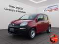 Fiat Panda 1.3 MJT  POP 2 POSTI VAN N1 AUTOCARRO-CLIMA- Rood - thumbnail 1