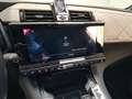 DS Automobiles DS 7 Crossback DS7 Crossback 1.5 bluehdi Business 130cv auto Gri - thumbnail 12