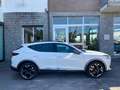 CUPRA Formentor Formentor 1.5 tsi 150cv dsg Bianco - thumbnail 6