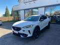 CUPRA Formentor Formentor 1.5 tsi 150cv dsg Bianco - thumbnail 3
