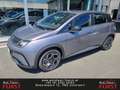 BYD Dolphin Comfort MY2025 Grau - thumbnail 1