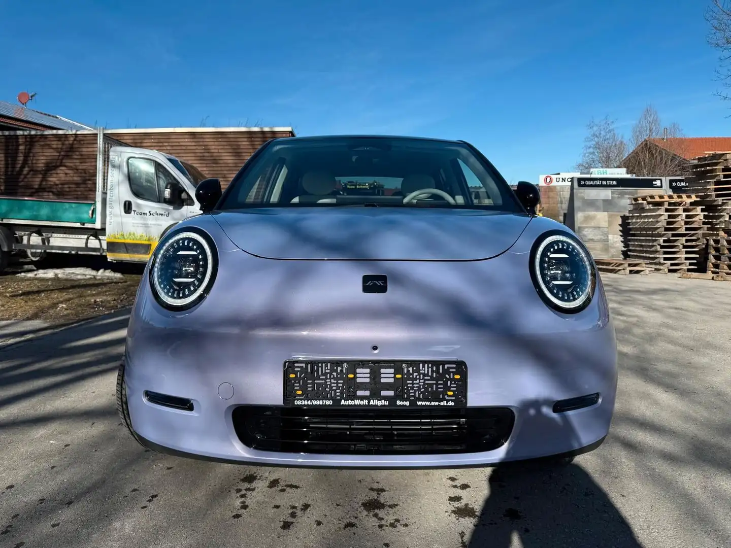 JAC Sonstige E30X Nordic Edition 50 Violett - 2