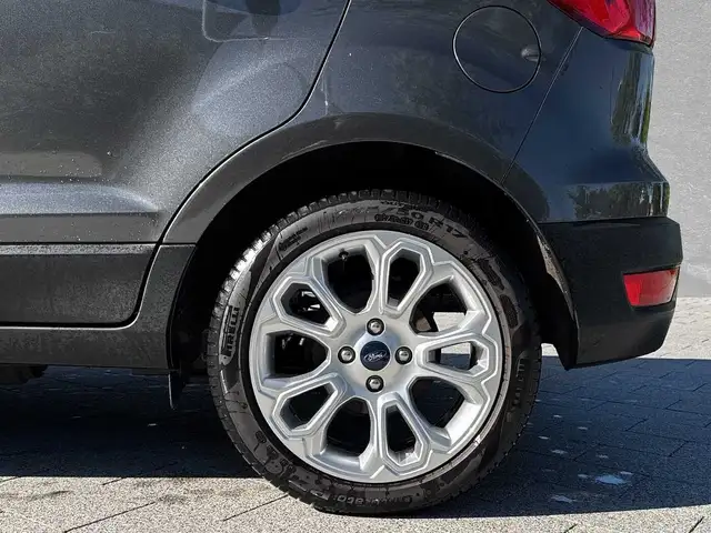 Ford Ecosport view 9