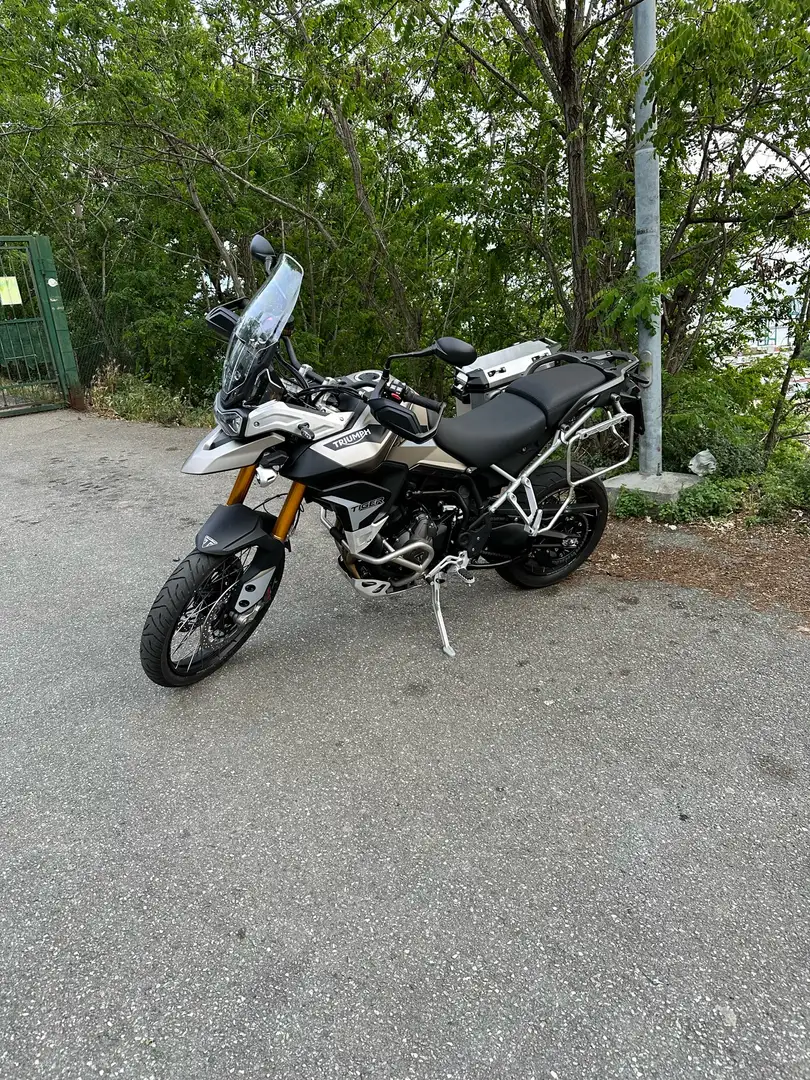 Triumph Tiger 900 rally pro trattabile - 2