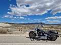Harley-Davidson Fat Boy GFABBO Gris - thumbnail 2