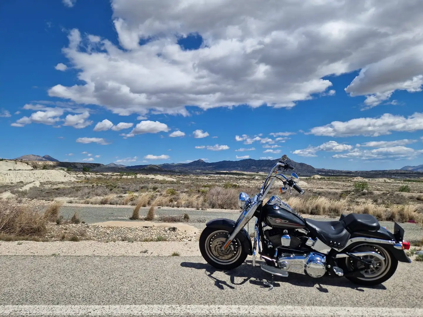 Harley-Davidson Fat Boy GFABBO Gris - 2