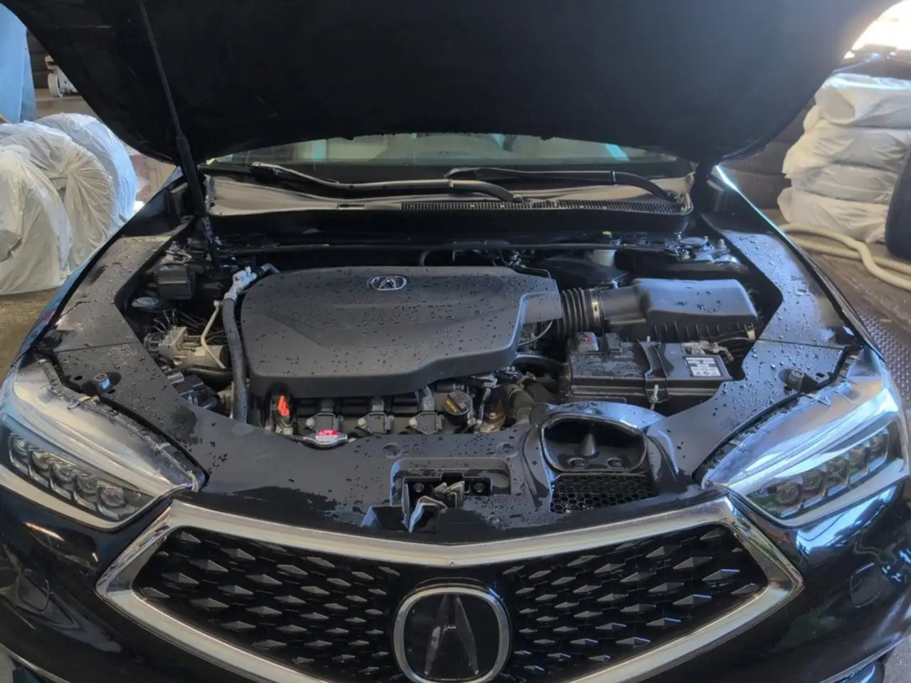 Acura TLX photo Acura TLX