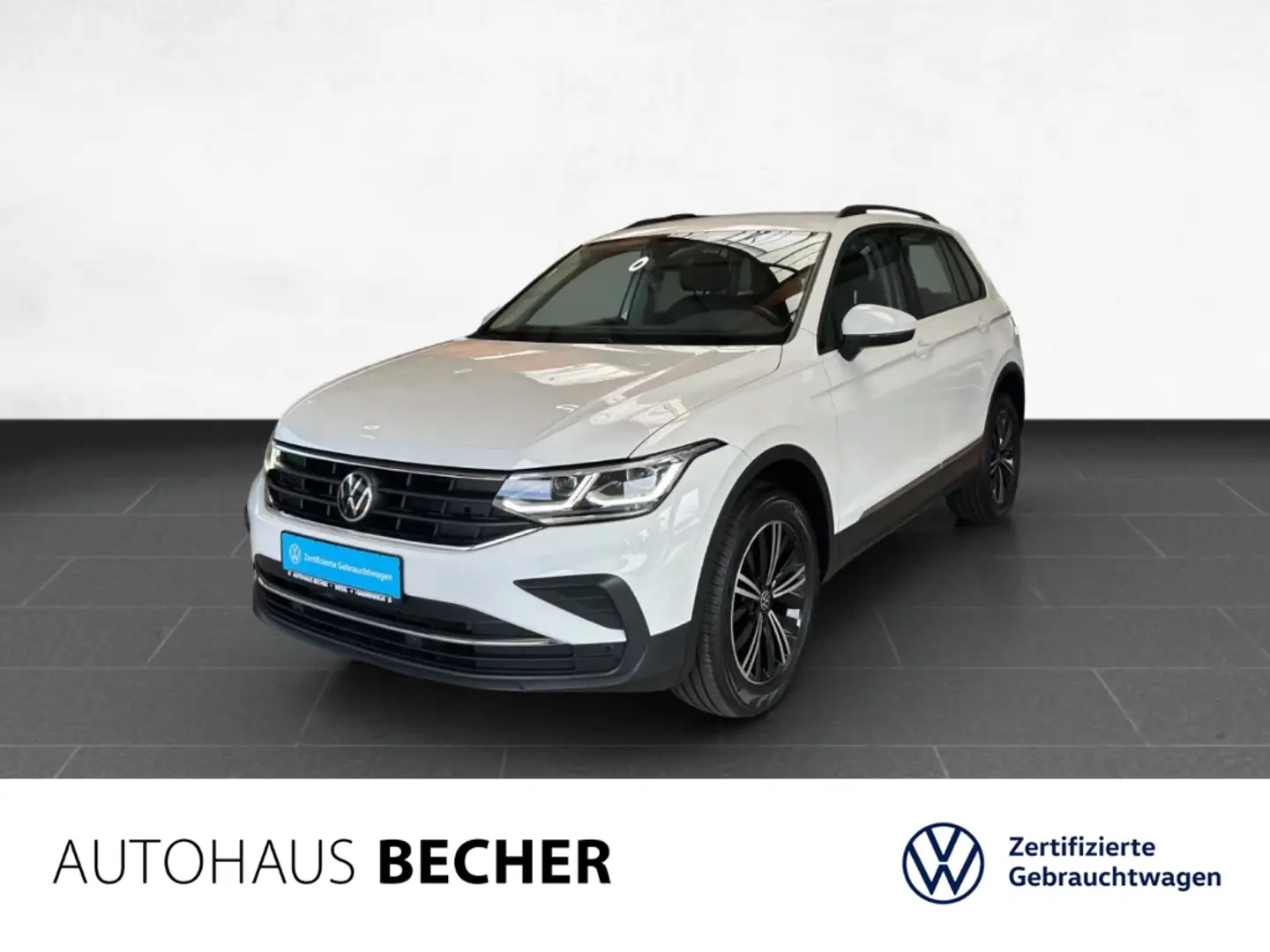 Volkswagen Tiguan 2.0 TDI DSG 4Motion Life /AHK/Navi/LED Weiß - 1