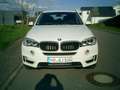 BMW X5 xDrive30d Leder Navi AHK Standheizung EURO6 Weiß - thumbnail 7