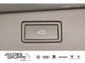 Volkswagen Tiguan 1.5 eTSI Elegance DSG,Navi,Matrix,AHK Grau - thumbnail 25