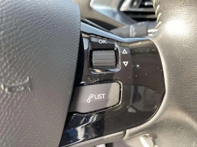 Peugeot 308 view 22