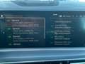 BMW X5 X5 xDrive25d 231cv Grau - thumbnail 22