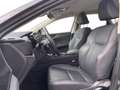 Lexus NX 350h Business Line+20 Grau - thumbnail 6