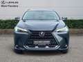 Lexus NX 350h Business Line+20 Grau - thumbnail 2