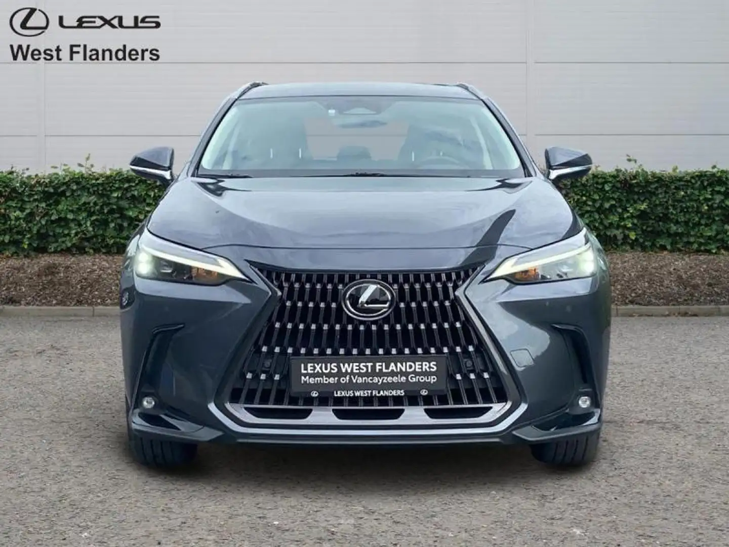 Lexus NX 350h Business Line+20 Grau - 2