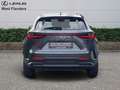 Lexus NX 350h Business Line+20 Grau - thumbnail 5