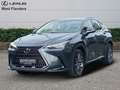 Lexus NX 350h Business Line+20 Grau - thumbnail 1