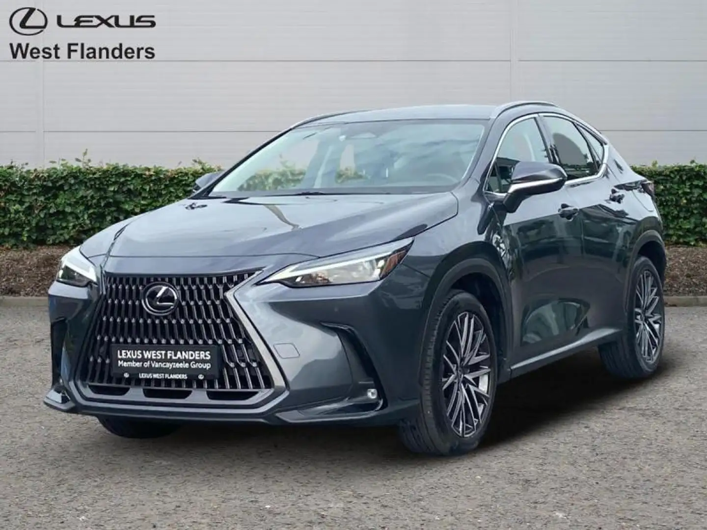 Lexus NX 350h Business Line+20 Grau - 1