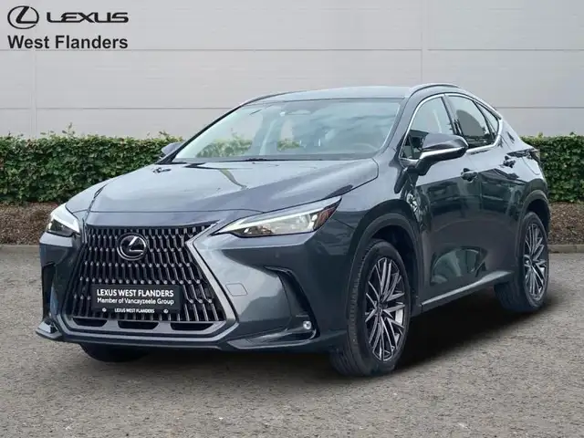 Lexus NX 350h Business Line+20
