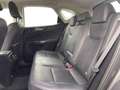 Lexus NX 350h Business Line+20 Grau - thumbnail 7