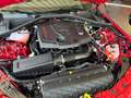 Alfa Romeo Giulia Intensa 2.0l TB Q4 Rosso Alfa Rood - thumbnail 14