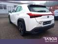 Lexus UX 250h 250h Launch Edition LED Nav ParkAs KeyL SHZ Weiß - thumbnail 4