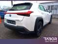 Lexus UX 250h 250h Launch Edition LED Nav ParkAs KeyL SHZ Weiß - thumbnail 3