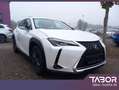 Lexus UX 250h 250h Launch Edition LED Nav ParkAs KeyL SHZ Weiß - thumbnail 2