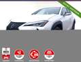 Lexus UX 250h 250h Launch Edition LED Nav ParkAs KeyL SHZ Weiß - thumbnail 1