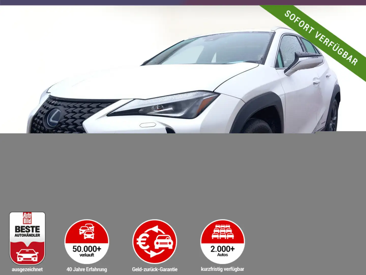 Lexus UX 250h 250h Launch Edition LED Nav ParkAs KeyL SHZ Weiß - 1