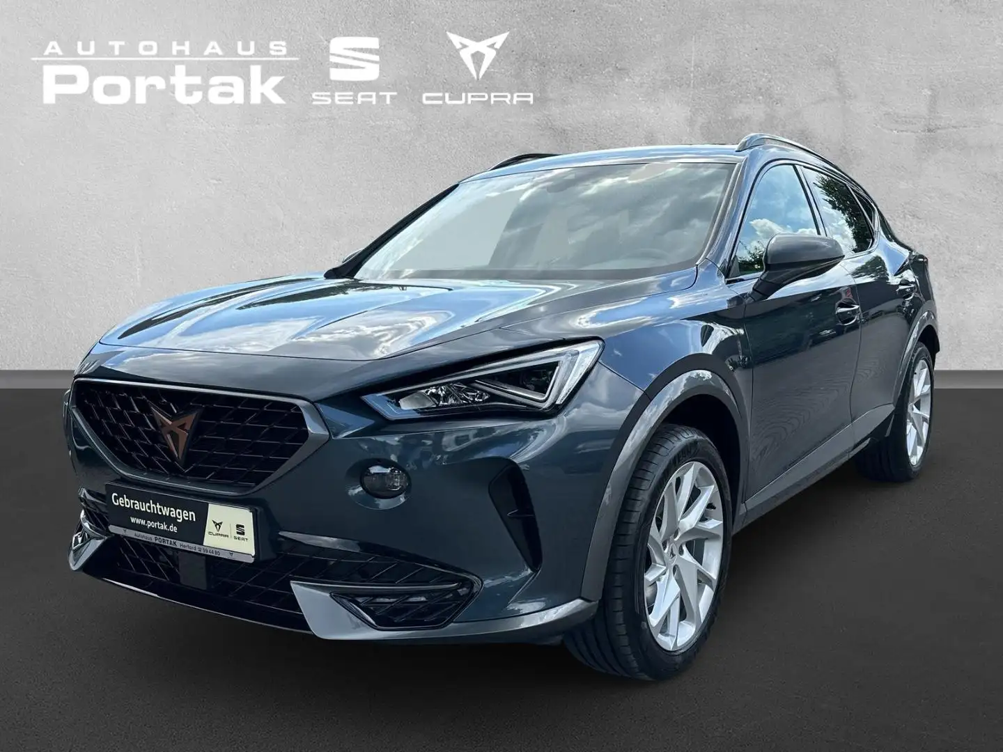 CUPRA Formentor 2.0 TDI 4Drive DSG AHK/Navi Gris - 2