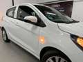 Opel Karl 1.0 ecoFLEX 120 Jaar Edition AIRCO / LM VELGEN Wit - thumbnail 30