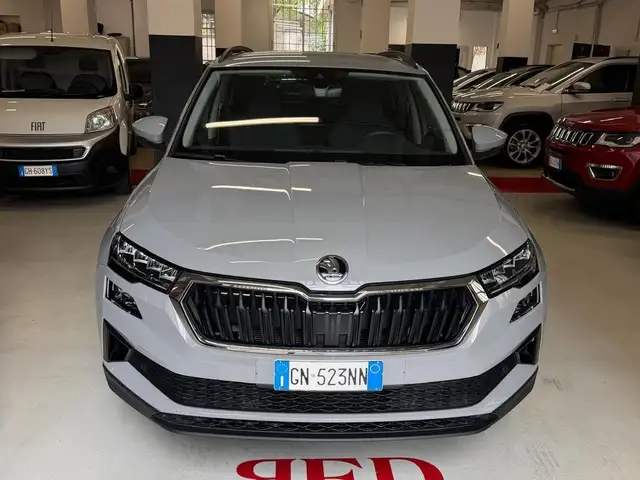 Skoda Karoq Karoq 2022 2.0 tdi evo Executive 115cv dsg