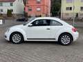 Volkswagen Beetle Basis Blanc - thumbnail 4