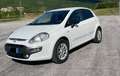 Fiat Punto Evo diesel 1248cc  kw 55  neopatentati White - thumbnail 1