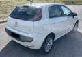 Fiat Punto Evo diesel 1248cc  kw 55  neopatentati Bianco - thumbnail 2