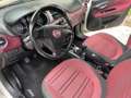 Fiat Punto Evo diesel 1248cc  kw 55  neopatentati White - thumbnail 3