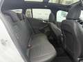 Ford Focus 155PS MHD ST-Line X TWA*PANO*AUT*RFK Blanc - thumbnail 19