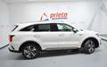 Kia Sorento 1.6 T-GDi HEV Plus Edition 4x2 7pl Blanco - thumbnail 41